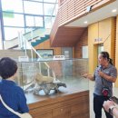 흑산자산문화도서관 이미지