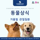 씽씽 동물의료센터 이미지