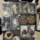 무실택지2 무실본동길 | 속보)뉴런부천점 수소폭탄급 신규생물 입고 소식!