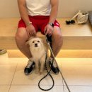 정훈동물병원 이미지