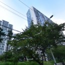 보행자전용도로 1-35 이미지