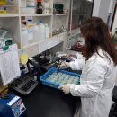 고흥군농업기술센터 이미지