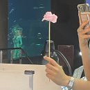 예린미술교습소 | 35 저숭라라 VIP 찍구 왔따....