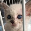 동물병원 앞 이미지