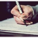 대박캠프 이미지