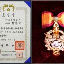 그린 알로에 이미지