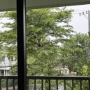 BI-MART | 여자 혼자 다낭 4일차