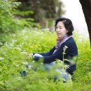 합도초교 이미지