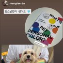 퍼스널댕댕 이미지