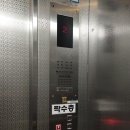 일번지프라자 이미지