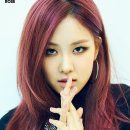 로제(Rose) 네이버블로그