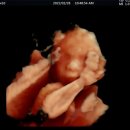 제주온동물병원 이미지