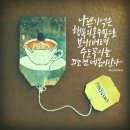 마담캘리 이미지