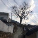 티라게스트하우스 이미지