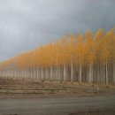 서경농장 이미지