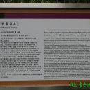 이한응 묘 이미지