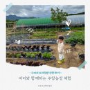 구미농장 | 구미시 도시텃밭 신청 후기｜아이와 함께하는 주말농장 일기 📝