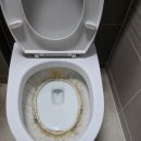 호반화장실 | 월클(world clean) 천안시 불당호반베르디움 아파트 입주청소 후기, 화장실 물때·곰팡이 &amp; 주방 오염...