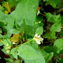 청태산휴양림 이미지