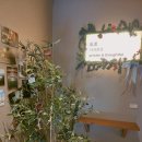 사려깊은한의원 이미지