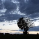 신성카센타 이미지