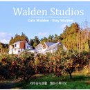 스테이월든 이미지