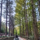 새하늘어린이집 | 1년만에 다시 찾은 장태산_힐하우스 카라반 1박2일 숙박 후기