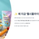 헬시글로벌