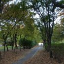 대원한방병원 이미지