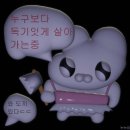 태성미디어 | 인생을 파인애플처럼 살자