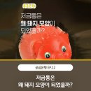 돼지은행 이미지