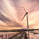 푸른신창 이미지