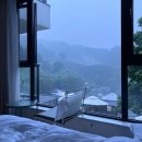 덕만천 | [26년 5월] 항저우로 노선 트실게요
