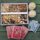 양지단비사슴농장 이미지