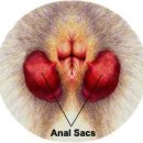 아인스동물병원 이미지