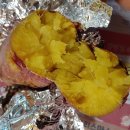 양구조은펜션 | 양구조은펜션 / 한반도섬 / 쌍둥이가보자