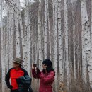 도시탈출... 이미지