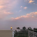 여수 스테이멍 애견펜션 이미지