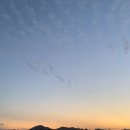 남녘들밥상 이미지