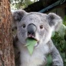 현대건강원 이미지