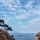 송림길삼거리 네이버블로그