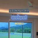 월월애견펜션 이미지