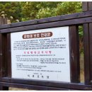 칠십리교 이미지