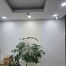 엘림약국 이미지