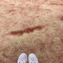 고양테니스장 처음인데도 즐거웠던 업템포테니스아카데미 후기