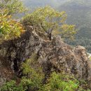 신덕주유소 이미지