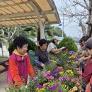 세포마을 경로당 이미지