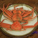 영덕맛집 살이 꽉차고 달콤쫄깃한 영덕대게 대흥호대게팬션 영덕대게축제