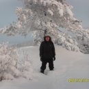 꿈의궁전 이미지