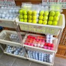 소피아그린 이미지